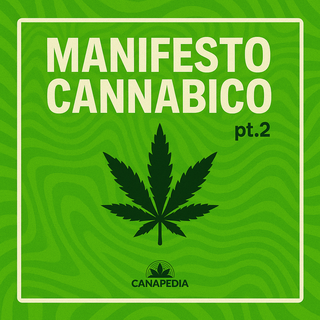Manifesto Cannabico PT.2