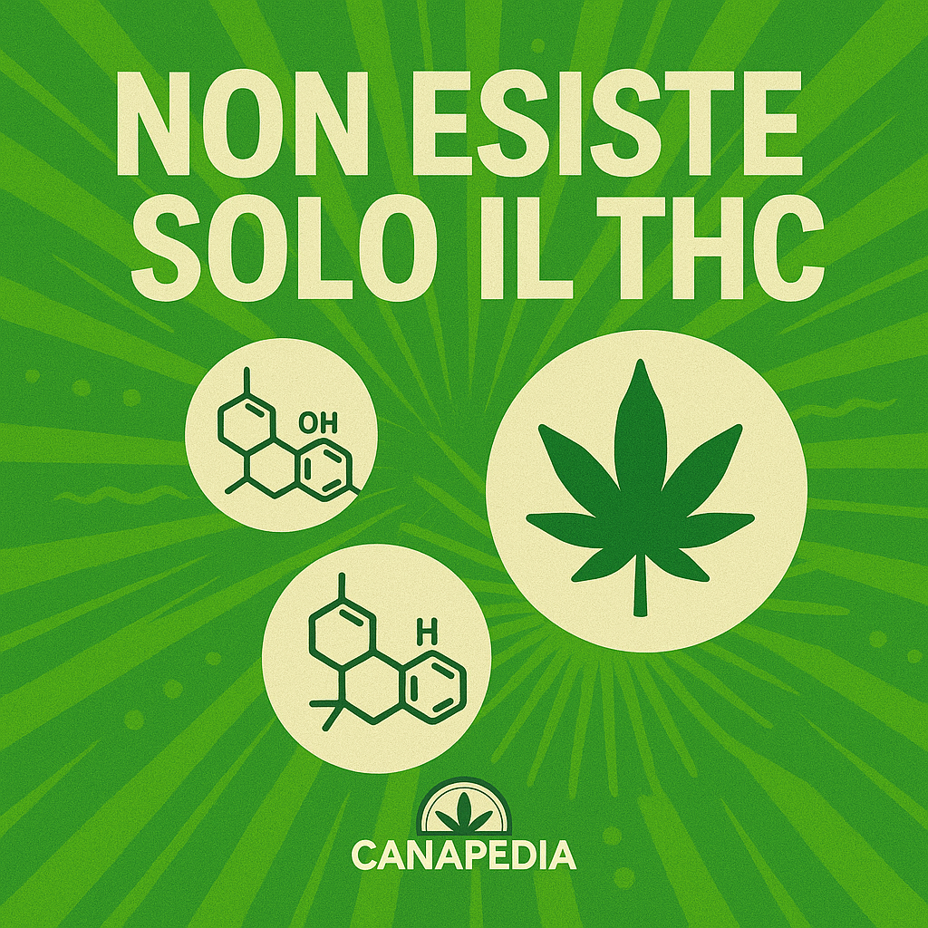 Non esiste solo il THC