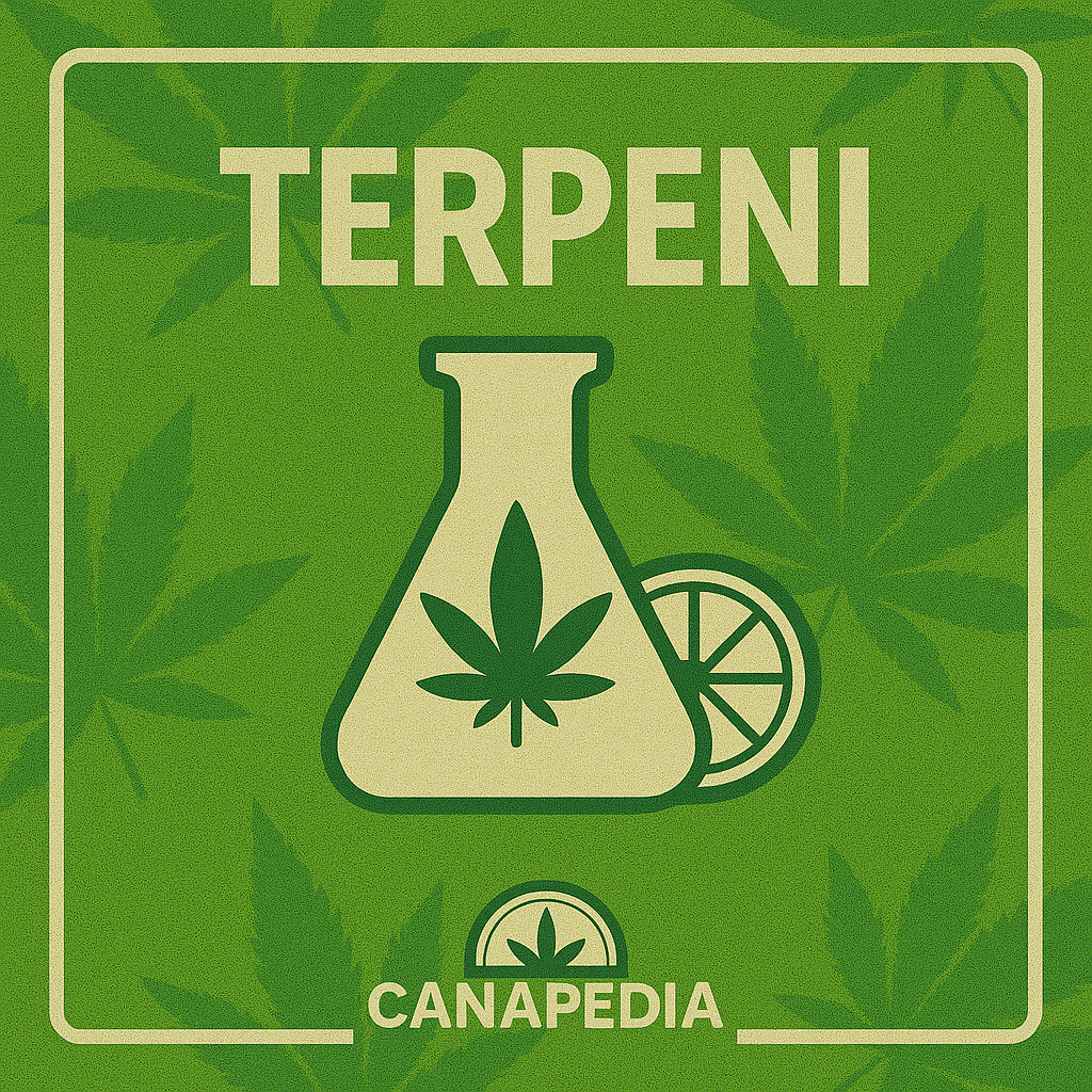 Terpeni