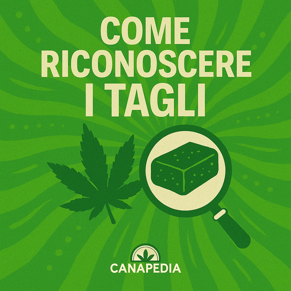 Come riconoscere i tagli